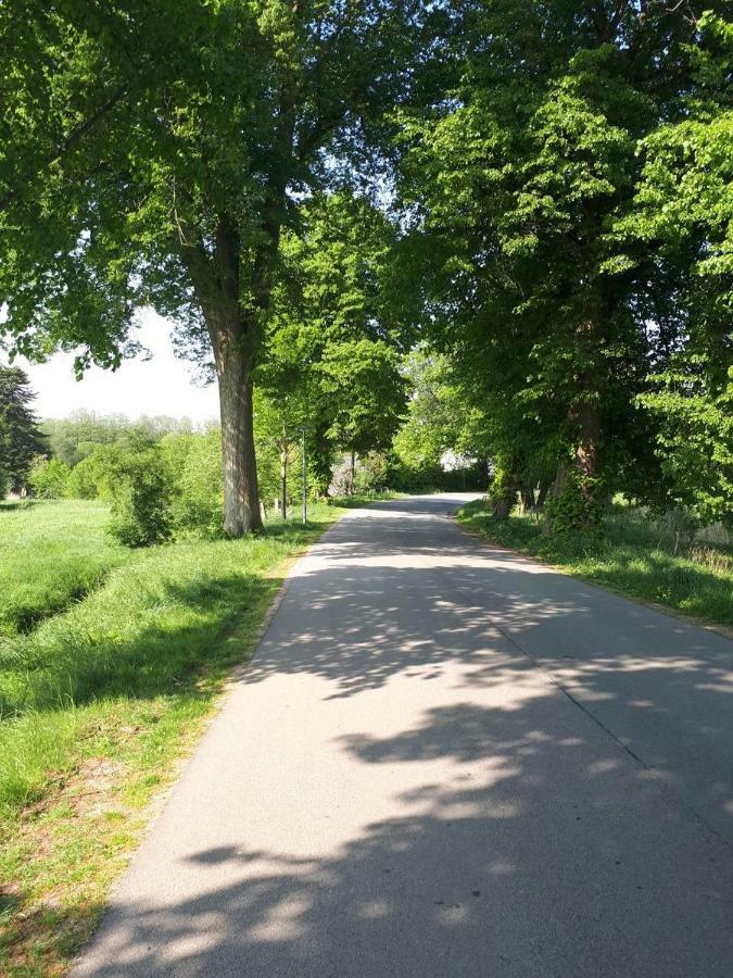 Nicki'S Ferien Oase Villa Bornhoved Buitenkant foto